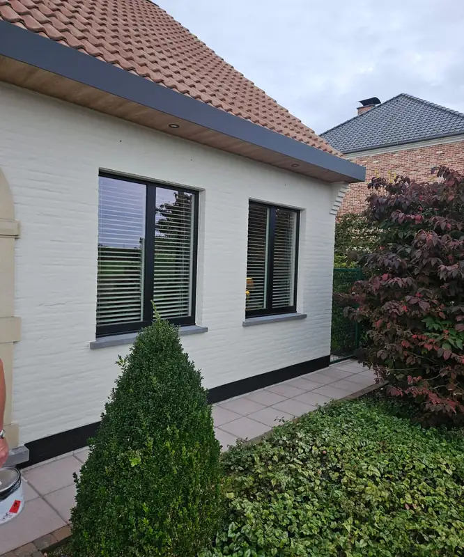 Witte gevel met zwarte ramen en buxushaag